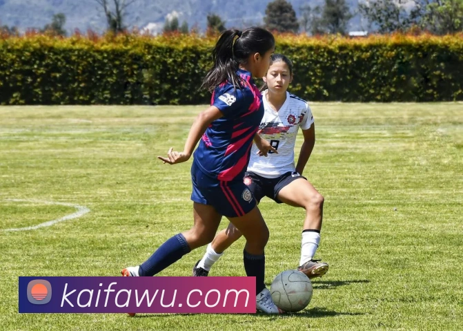 凯发K8平台生态图